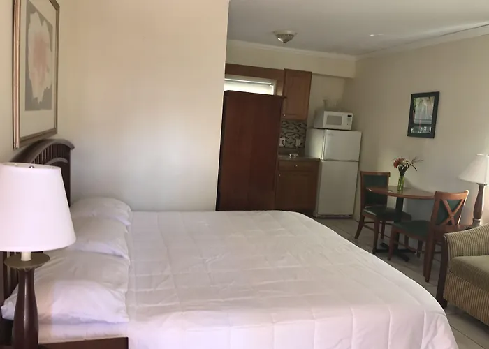 Motel: Shores Terrace